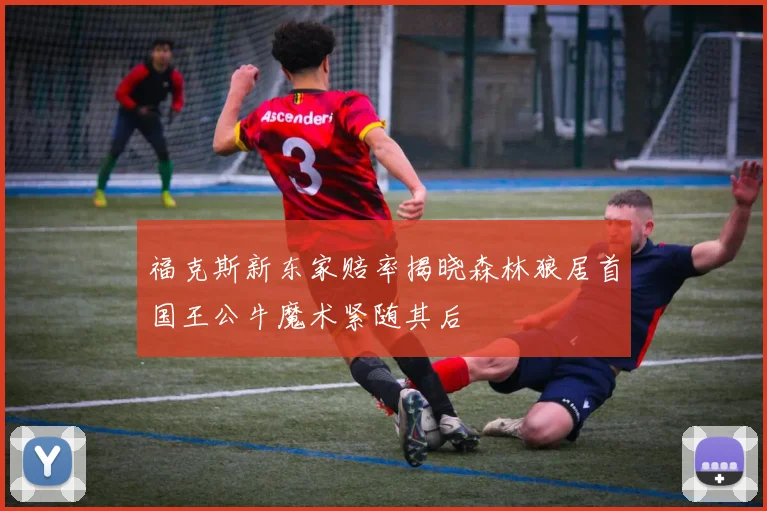 福克斯新东家赔率揭晓森林狼居首国王公牛魔术紧随其后
