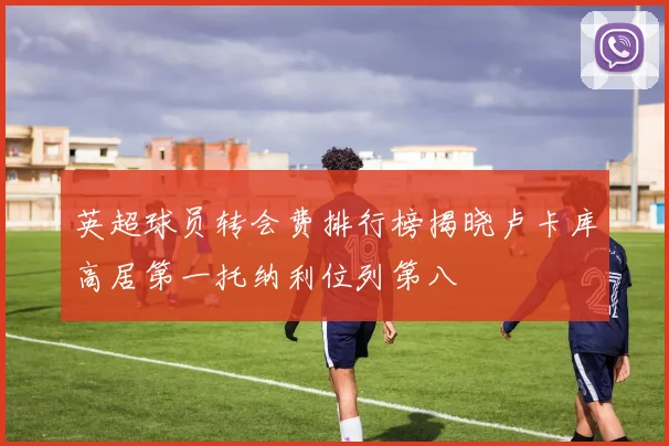 英超球员转会费排行榜揭晓卢卡库高居第一托纳利位列第八