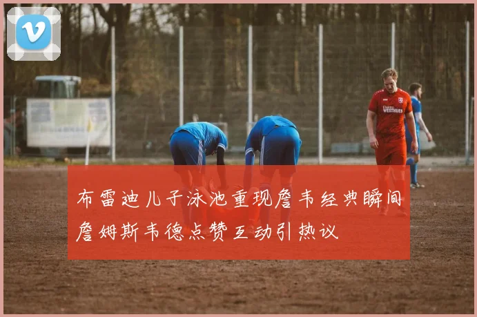 布雷迪儿子泳池重现詹韦经典瞬间詹姆斯韦德点赞互动引热议